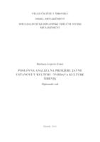 POSLOVNA ANALIZA NA PRIMJERU JAVNE USTANOVE U KULTURI - TVRĐAVA KULTURE ŠIBENIK
