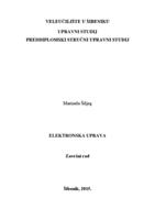 prikaz prve stranice dokumenta Elektronska uprava