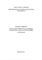 prikaz prve stranice dokumenta Upravljanje troškovima na primjeru NP Plitvička jezera