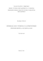 prikaz prve stranice dokumenta Sinergija MICE turizma i gastronomske ponude turističke destinacije